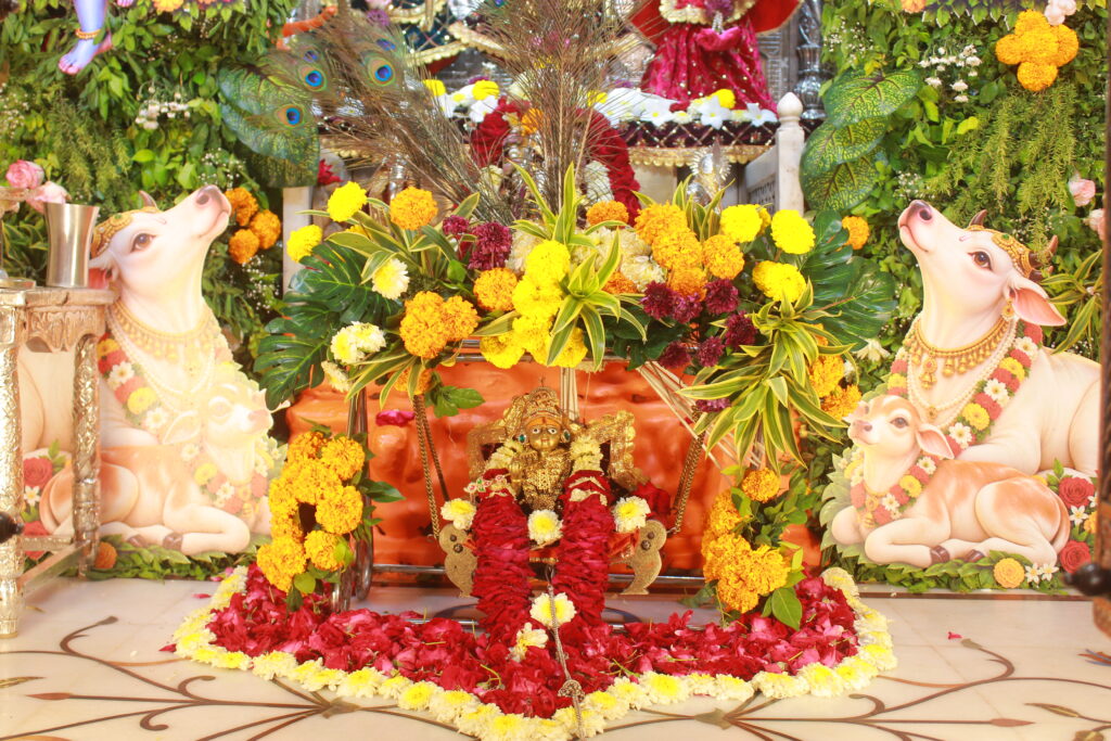 શણગાર દર્શન - શનિવાર "પ.પૂ. શ્રી વિસામણબાપુની જગ્યા, પ.પૂ. શ્રી શ્રી ૧૦૦૮ મહામંડલેશ્વર નિર્મળાબા, વિહળધામ પાળિયાદ, શ્રાવણ વદ - ૯ નોમ, વિક્રમ સવંત ૨૦૮૨" Shangar Darshan. Saturday-Sap- 05/09/2026