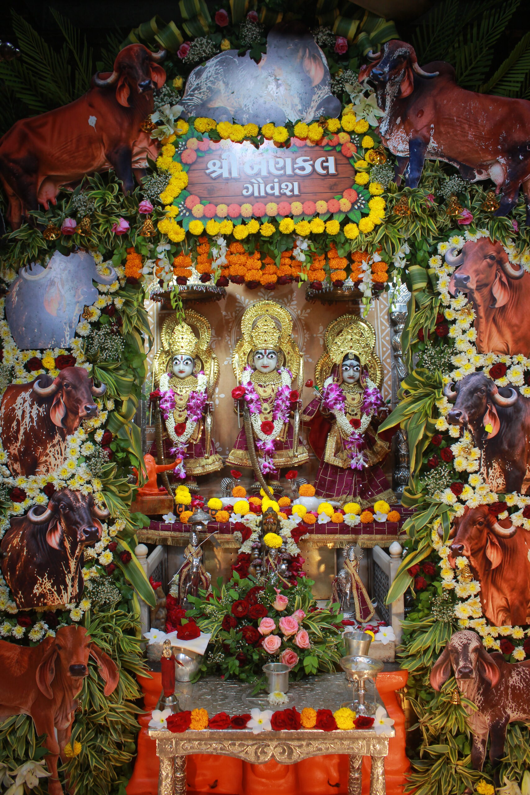 Shangar Darshan Divine Blessings Saturday 12/09/2026 | વિહળધામ પાળિયાદ