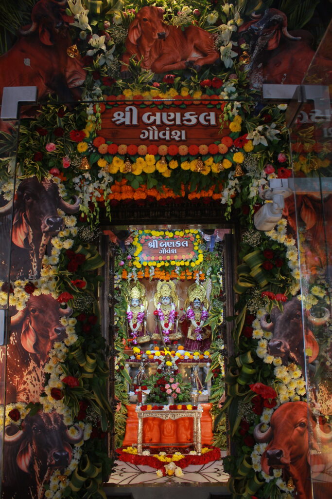 શણગાર દર્શન - શનિવાર "પ.પૂ. શ્રી વિસામણબાપુની જગ્યા, પ.પૂ. શ્રી શ્રી ૧૦૦૮ મહામંડલેશ્વર નિર્મળાબા, વિહળધામ પાળિયાદ, ભાદરવા સુદ - ૧ એકમ, વિક્રમ સવંત ૨૦૮૨" Shangar Darshan. Saturday-Sep- 12/09/2026