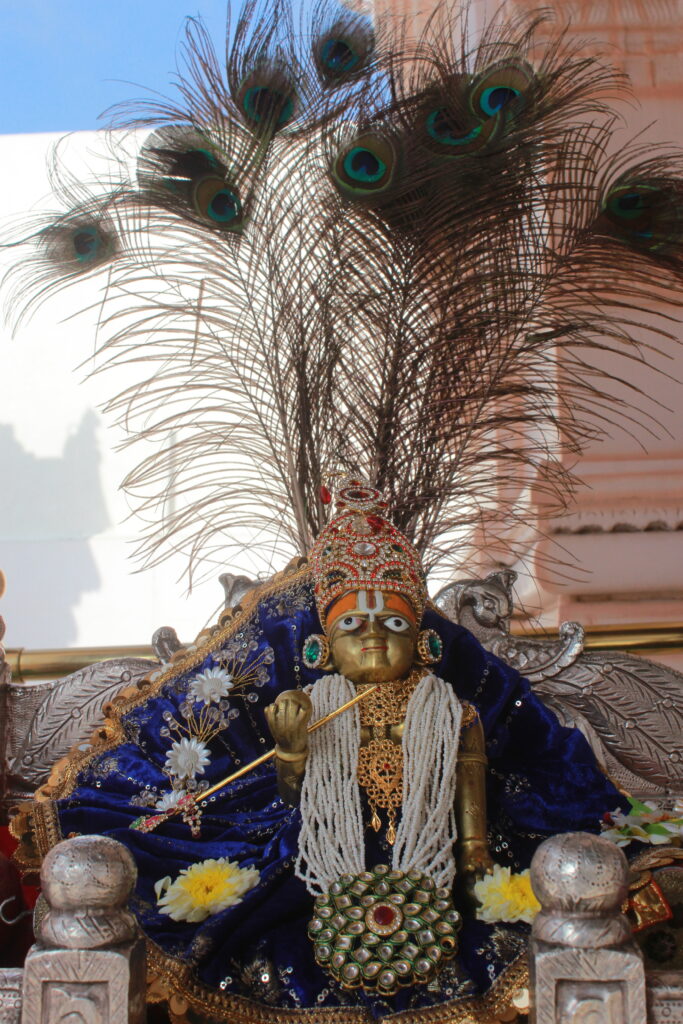 શણગાર દર્શન - શનિવાર "પ.પૂ. શ્રી વિસામણબાપુની જગ્યા, પ.પૂ. શ્રી શ્રી ૧૦૦૮ મહામંડલેશ્વર નિર્મળાબા, વિહળધામ પાળિયાદ, ભાદરવા સુદ - ૮ આઠમ, વિક્રમ સવંત ૨૦૮૨" Shangar Darshan. Saturday-Sep- 19/09/2026