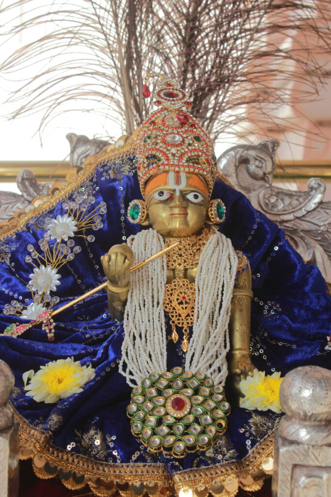 શણગાર દર્શન - શનિવાર "પ.પૂ. શ્રી વિસામણબાપુની જગ્યા, પ.પૂ. શ્રી શ્રી ૧૦૦૮ મહામંડલેશ્વર નિર્મળાબા, વિહળધામ પાળિયાદ, ભાદરવા સુદ - ૮ આઠમ, વિક્રમ સવંત ૨૦૮૨" Shangar Darshan. Saturday-Sep- 19/09/2026
