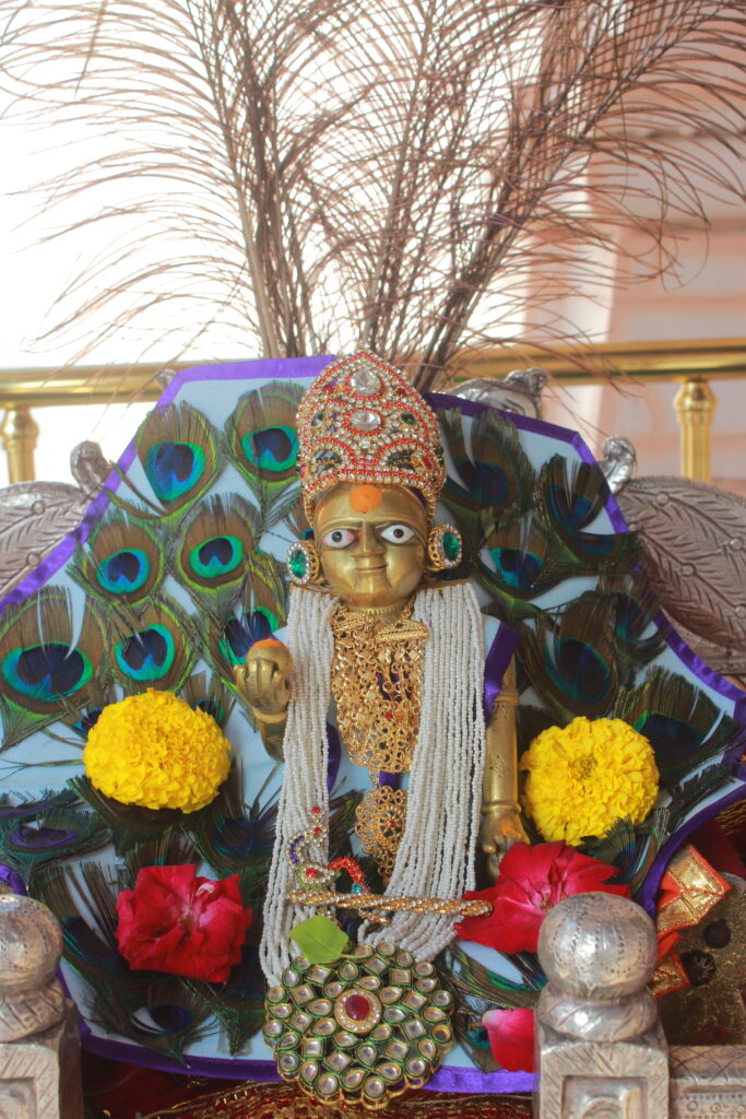 શણગાર દર્શન - મંગળવાર "પ.પૂ. શ્રી વિસામણબાપુની જગ્યા, પ.પૂ. શ્રી શ્રી ૧૦૦૮ મહામંડલેશ્વર નિર્મળાબા, વિહળધામ પાળિયાદ, ભાદરવા સુદ - ૧૧ અગિયારસ, વિક્રમ સવંત ૨૦૮૨" Shangar Darshan. Tuesday-Sep- 22/09/2026