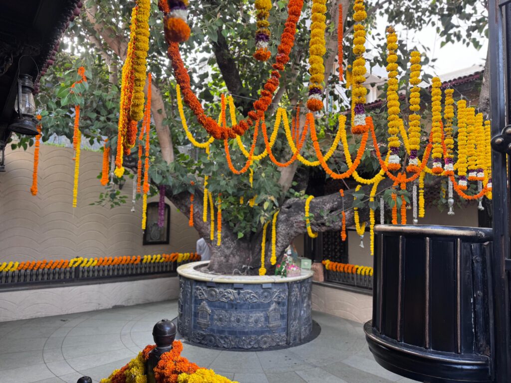 શણગાર દર્શન - શુક્રવાર (શ્રી કૃષ્ણ જન્માષ્ટમી) "પ.પૂ. શ્રી વિસામણબાપુની જગ્યા, પ.પૂ. શ્રી શ્રી ૧૦૦૮ મહામંડલેશ્વર નિર્મળાબા, વિહળધામ પાળિયાદ, શ્રાવણ વદ - ૮ આઠમ, વિક્રમ સવંત ૨૦૮૨" Shangar Darshan. Friday-Sap- 04/09/2026